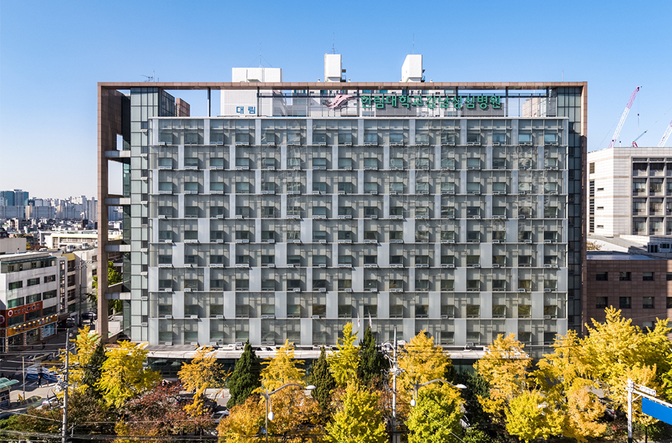 �Ѹ��޵���Ÿ��